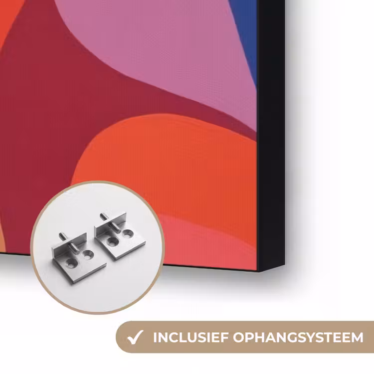 Vormen - Bochten - Kleurrijk - Abstract Textielframe zwart klein -USP_ophangsysteemNL