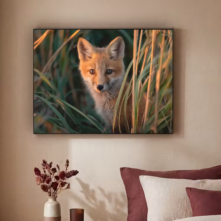 Vos - Oranje - Gras Textielframe zwart klein -sfeer1
