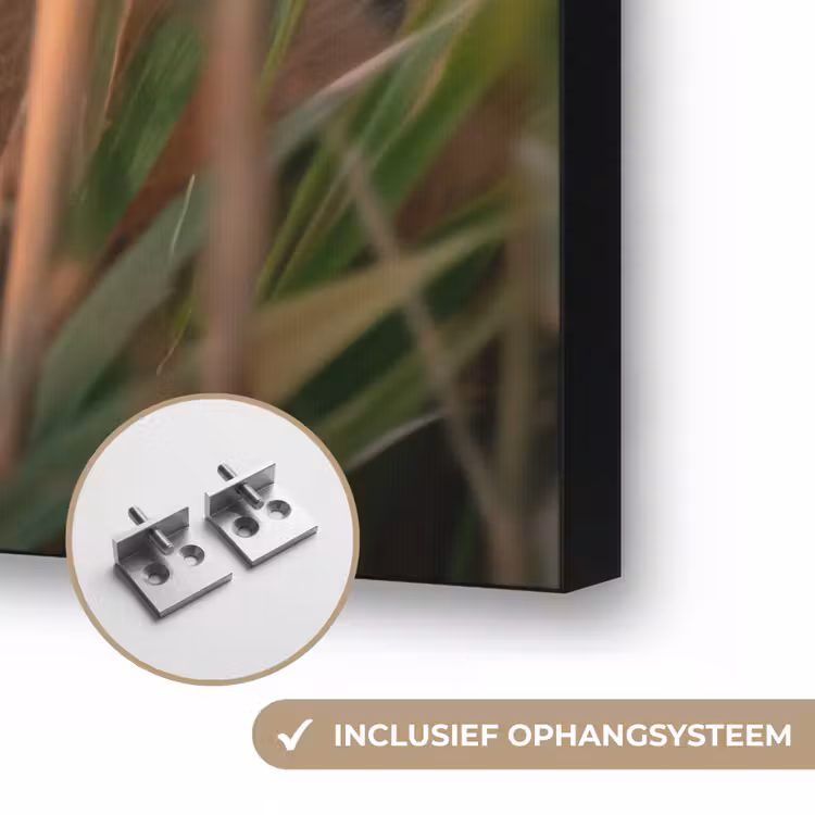 Vos - Oranje - Gras Textielframe zwart klein -USP_ophangsysteemNL