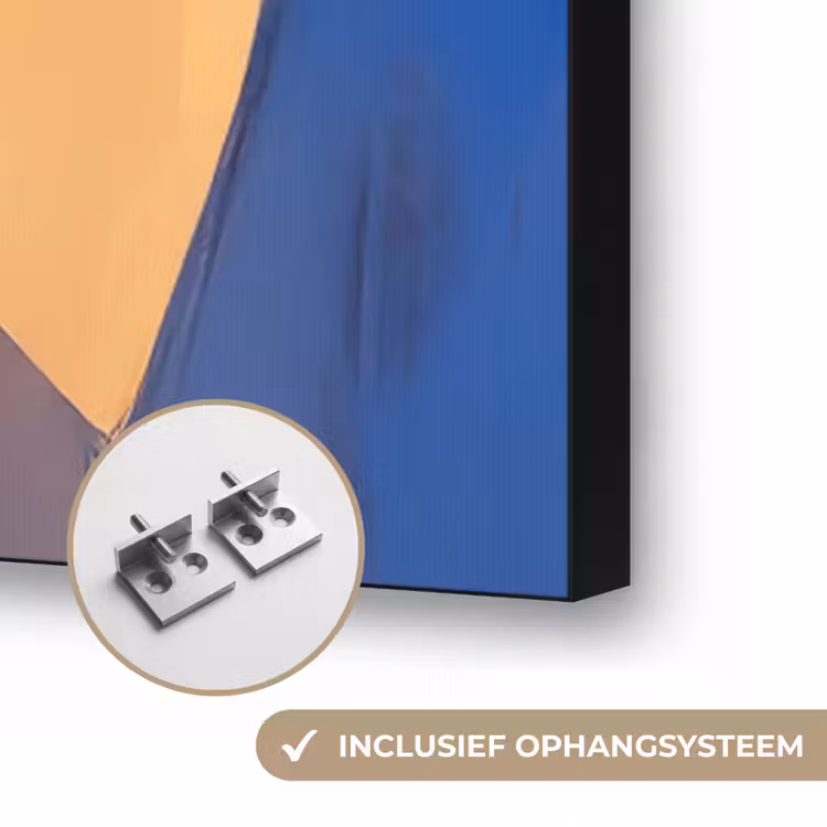 Vos - Oranje - Vormen - Abstract Textielframe zwart klein -USP_ophangsysteemNL