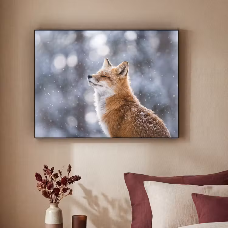 Vos - Sneeuwval - Portret - Winter - Sfeervol Textielframe zwart klein -sfeer1