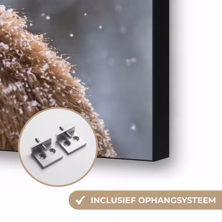 Vos - Sneeuwval - Portret - Winter - Sfeervol Textielframe zwart klein -USP_ophangsysteemNL