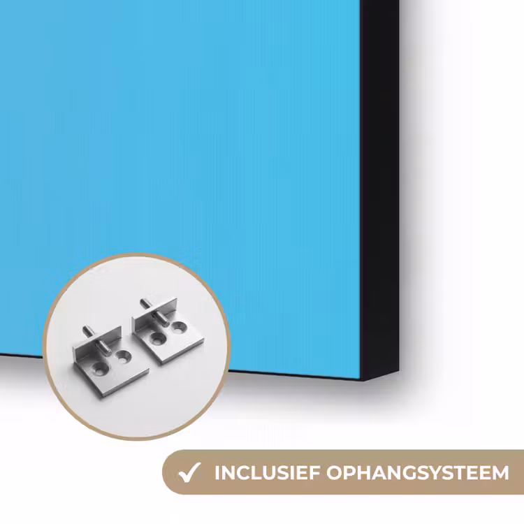Vrouw - Bloem - Blauw - Modern - Bril - Portret Textielframe zwart klein -USP_ophangsysteemNL