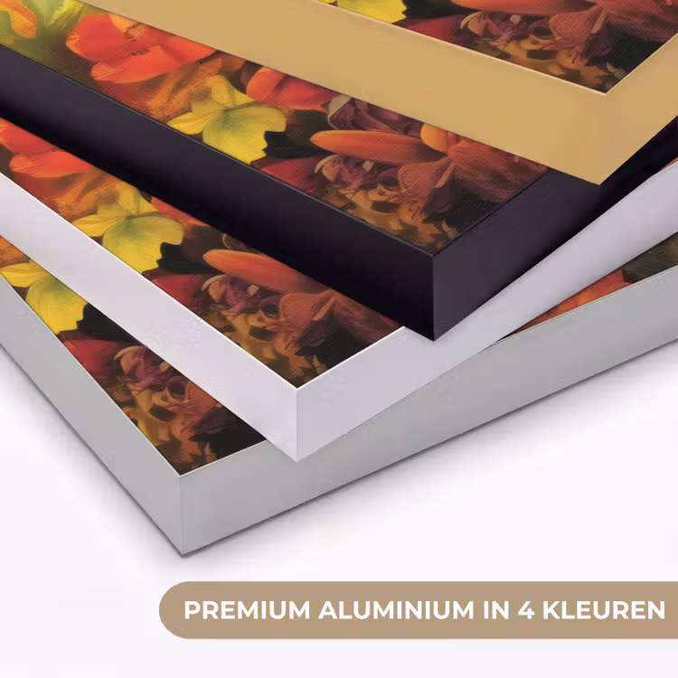 Vrouw - Bloemen - Papegaai - Schilderachtig Textielframe zwart klein -USP_kleurenNL