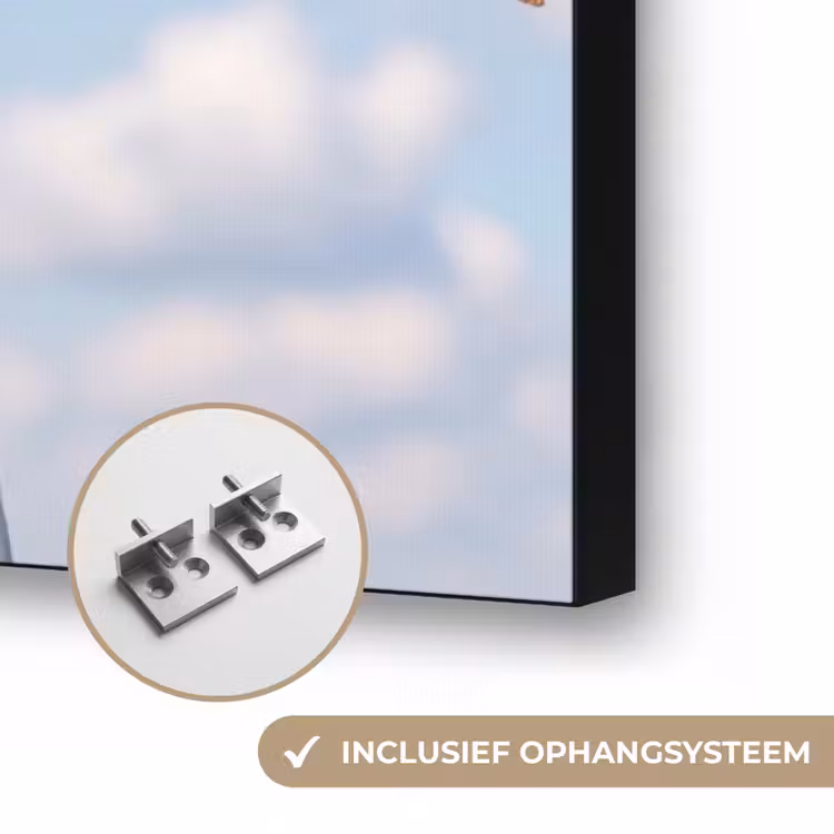Vrouw - Bloemen - Zomer - Portret - Kleurrijk Textielframe zwart klein -USP_ophangsysteemNL