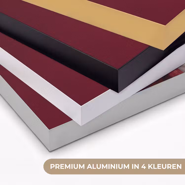 Vrouw - Bontjas - Mode - Klassiek - Rood Textielframe zwart klein -USP_kleurenNL