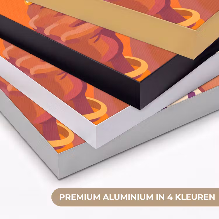 Vrouw - Champagne - Feest - Modern - Oranje Textielframe zwart klein -USP_kleurenNL
