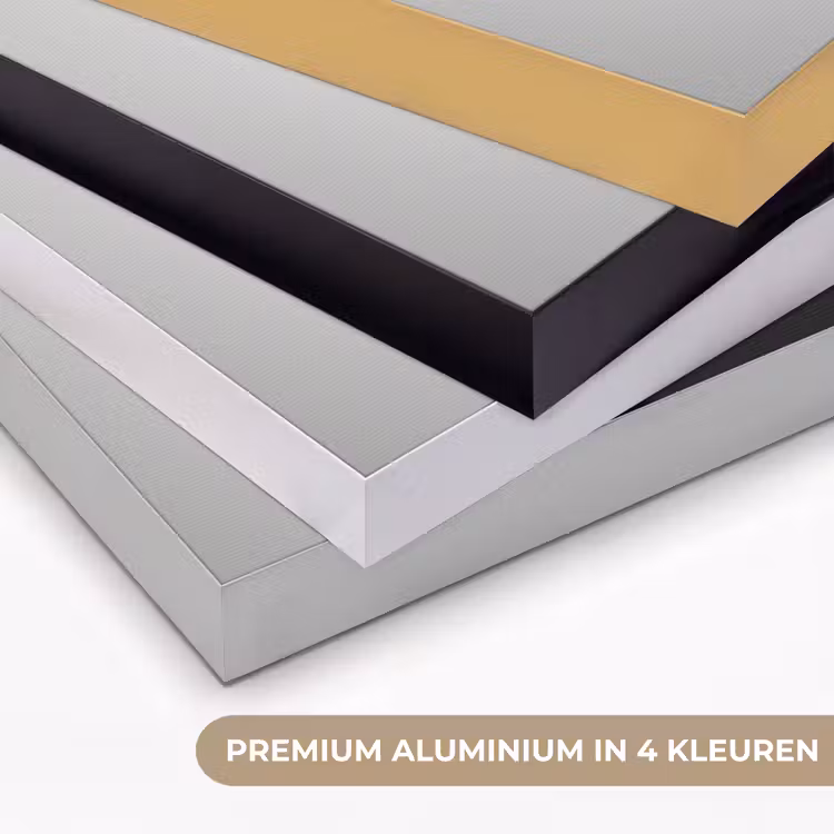 Vrouw - Champagne - Modern Textielframe zwart klein -USP_kleurenNL