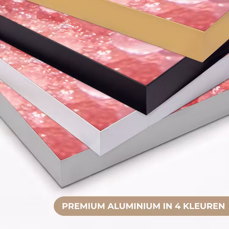Vrouw - Drank - Zomer - Roze - Blauw Textielframe zwart klein -USP_kleurenNL
