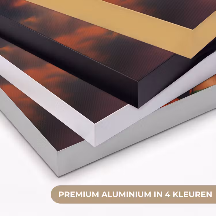 Vrouw - Drankenfruit - Rozen Textielframe zwart klein -USP_kleurenNL