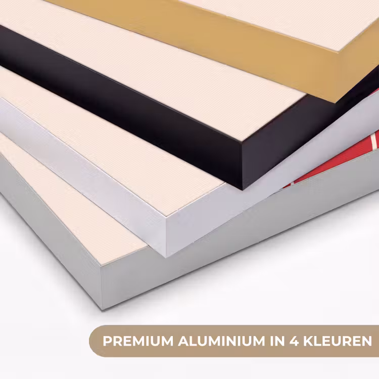 Vrouw - Figuur - Abstract - Modern - Rood Textielframe zwart klein -USP_kleurenNL