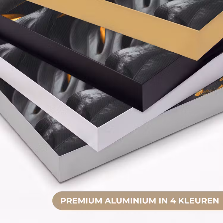 Vrouw - Goud - Natuur - Portret - Modern Textielframe zwart klein -USP_kleurenNL