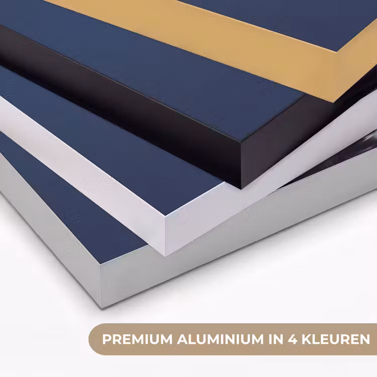 Vrouw - Goudvis - Hoofd - Abstract - Blauw Textielframe zwart klein -USP_kleurenNL