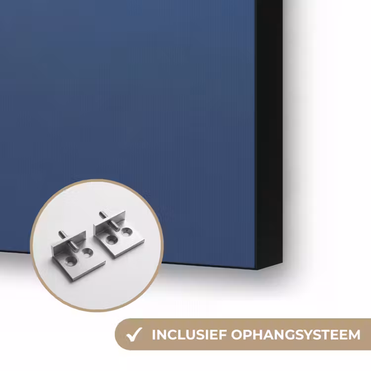 Vrouw - Goudvis - Hoofd - Abstract - Blauw Textielframe zwart klein -USP_ophangsysteemNL