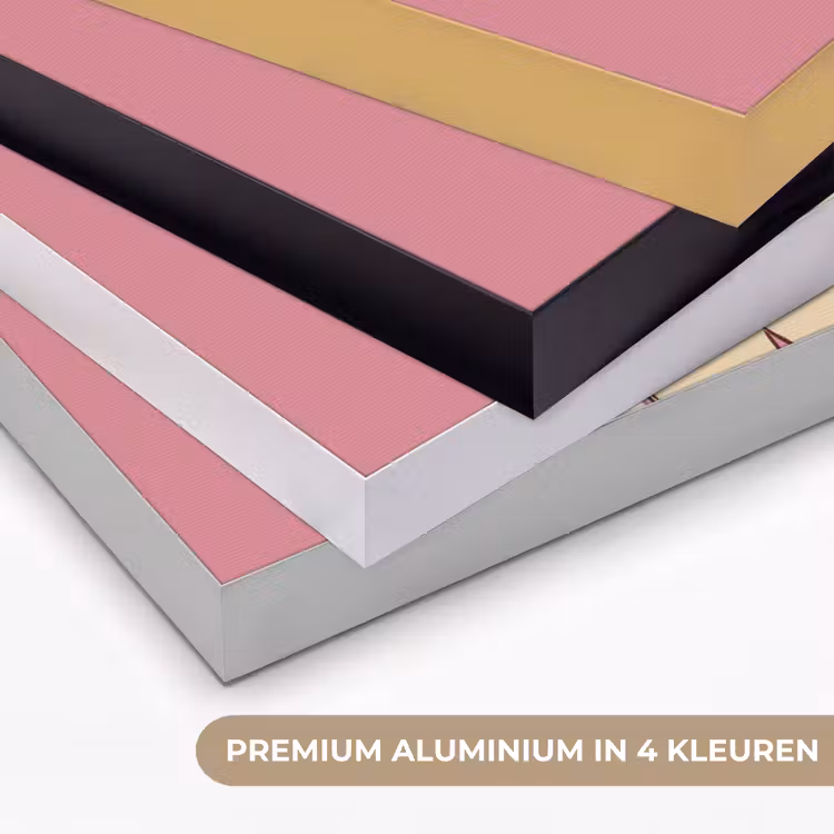 Vrouw - Hoed - Portret - Illustratie - Roze Textielframe zwart klein -USP_kleurenNL