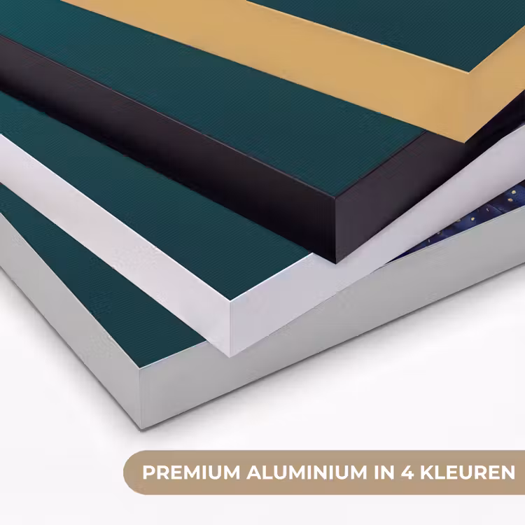 Vrouw - Hoodtooi - Tropisch - Fruit - Druiven Textielframe zwart klein -USP_kleurenNL