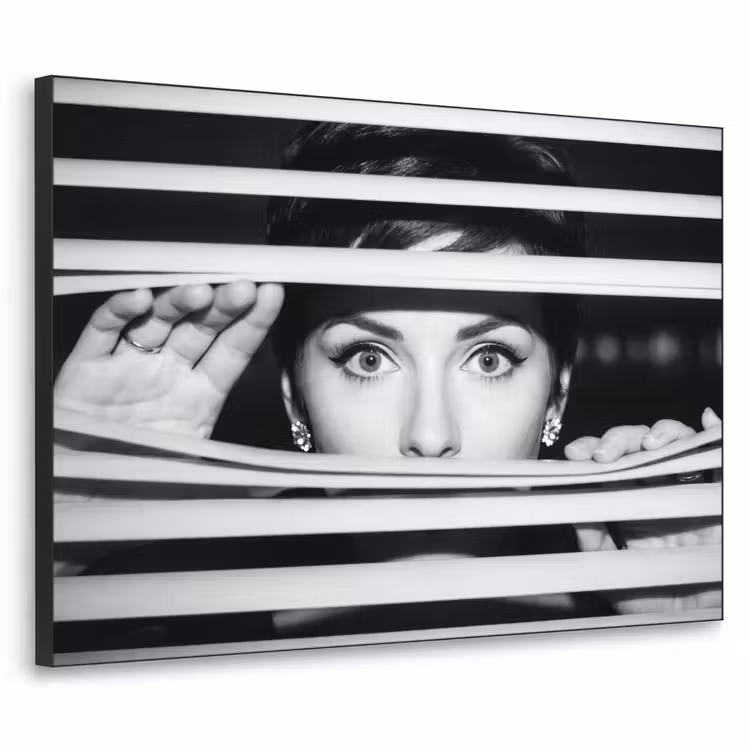 Vrouw - Jaloezieën - Portret - Zwart-wit Textielframe zwart klein -3d