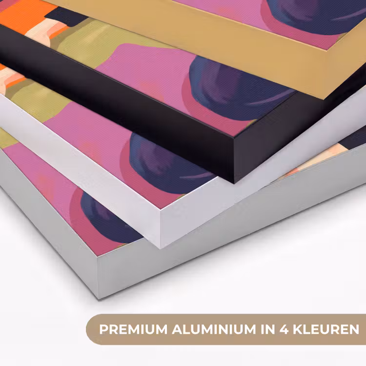 Vrouw - Kat - Interieur - Modern - Kleurrijk Textielframe zwart klein -USP_kleurenNL