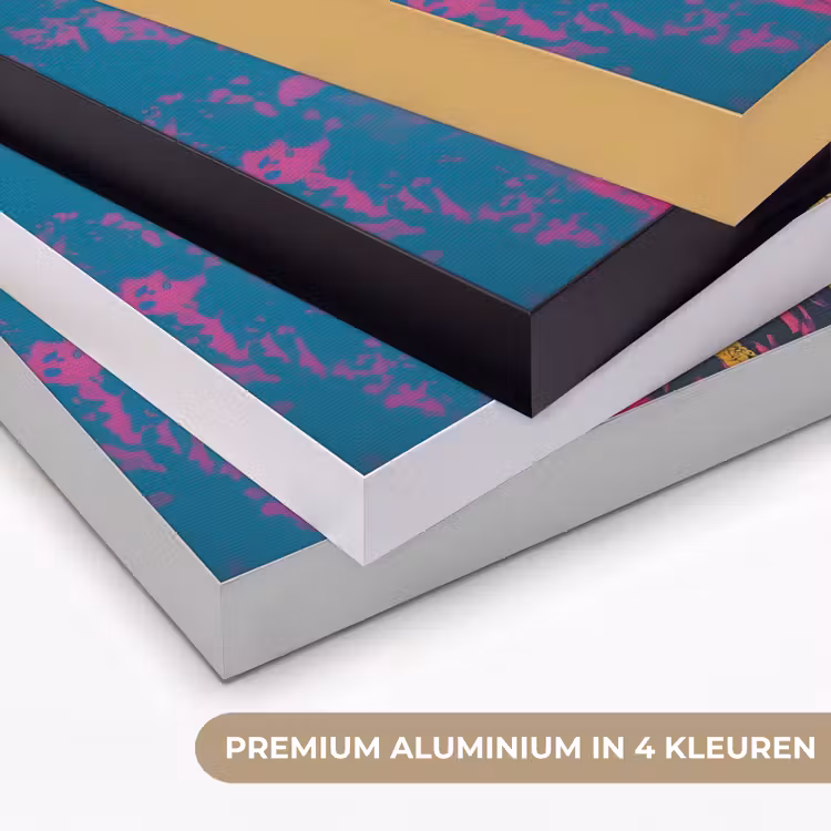 Vrouw - Kauwgom - Zonnebril - Oranje Textielframe zwart klein -USP_kleurenNL