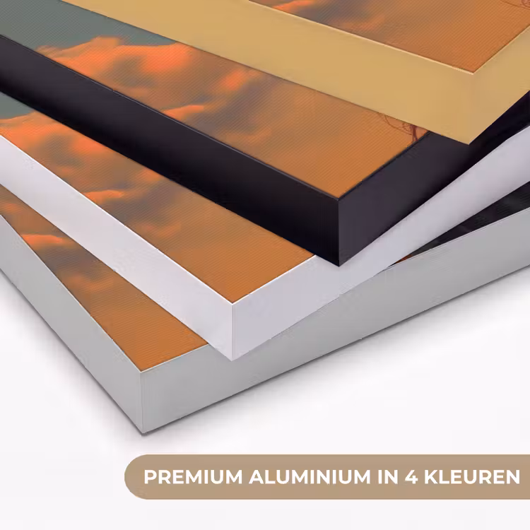 Vrouw - Kroon - Tomaat - Bascilicum - Zonnebril Textielframe zwart klein -USP_kleurenNL