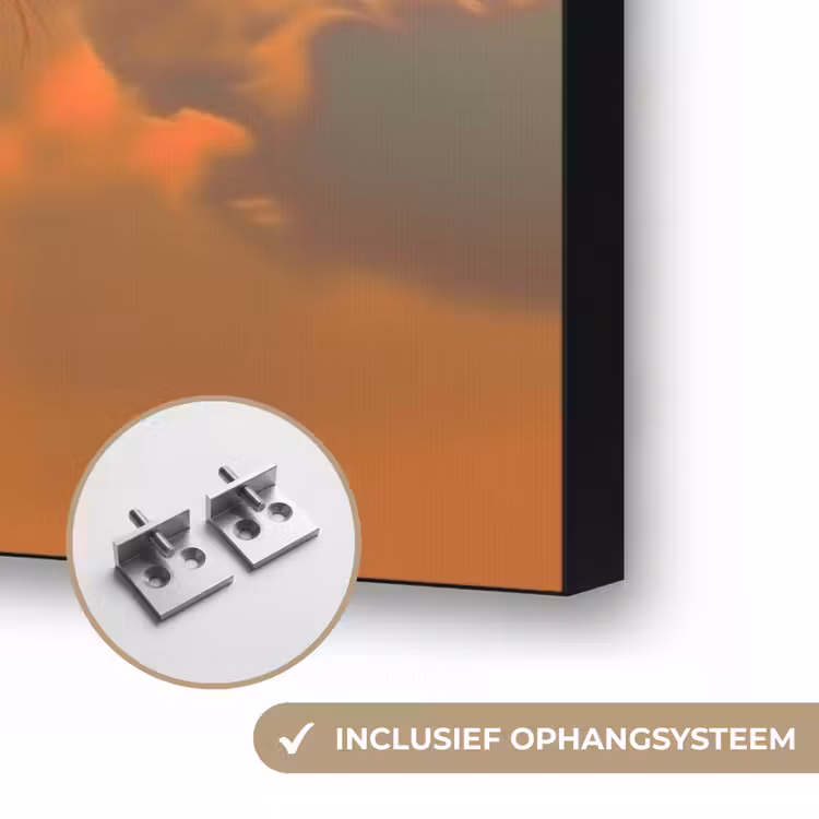 Vrouw - Kroon - Tomaat - Bascilicum - Zonnebril Textielframe zwart klein -USP_ophangsysteemNL
