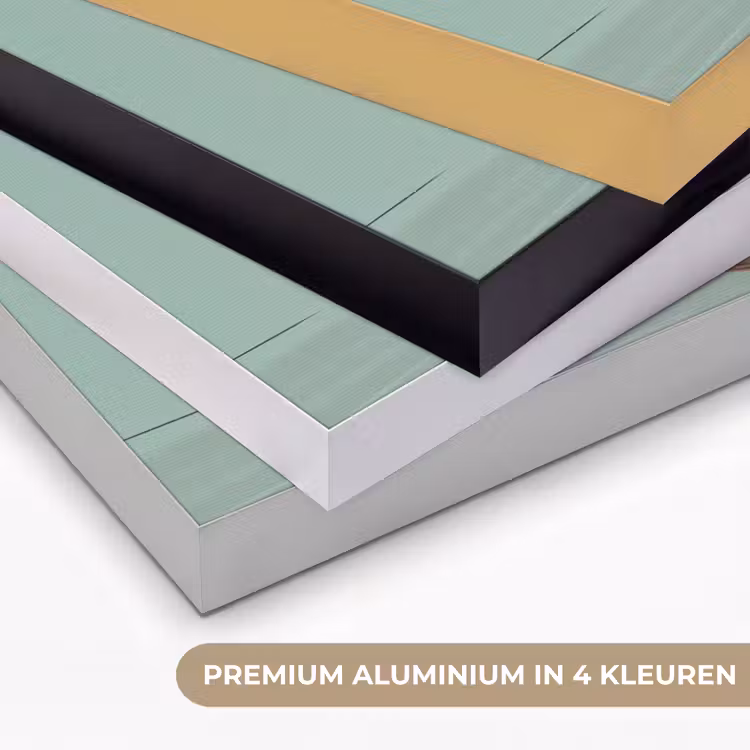 Vrouw - Laptop - Zittend - Illustratie - Groen Textielframe zwart klein -USP_kleurenNL