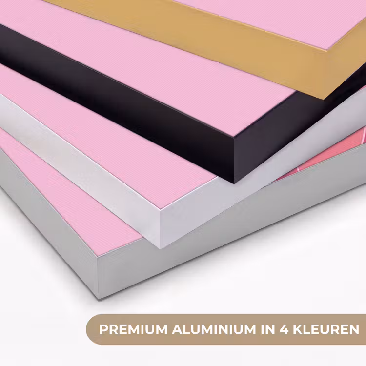 Vrouw - Lichaam - Abstract - Roze Textielframe zwart klein -USP_kleurenNL