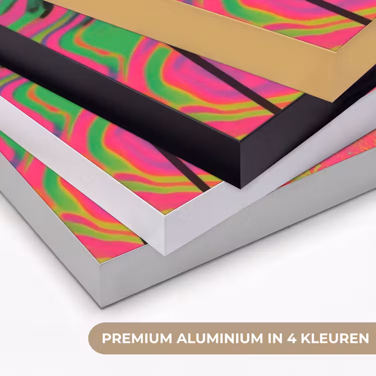 Vrouw - Microfoon - Neon Textielframe zwart klein -USP_kleurenNL