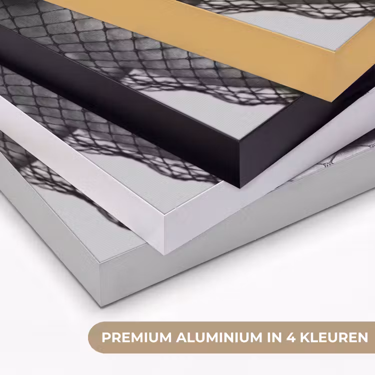 Vrouw - Net - Mysterieus - Zwart - Wit Textielframe zwart klein -USP_kleurenNL