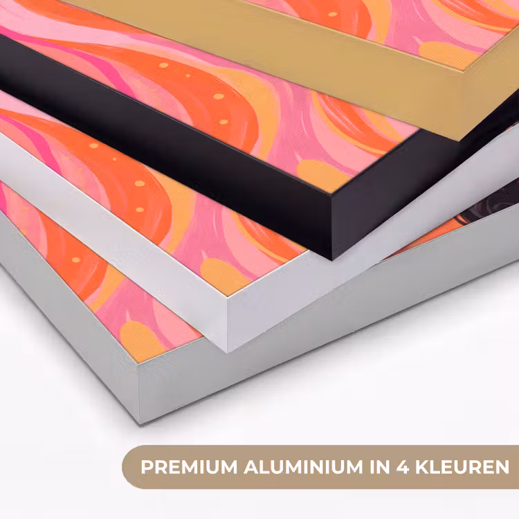Vrouw - Portret - Abstract - Kleurrijk - Roze Textielframe zwart klein -USP_kleurenNL