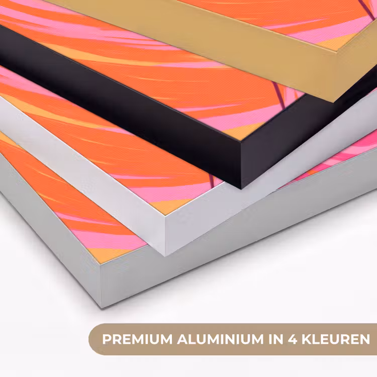 Vrouw - Portret - Kunst - Abstract - Roze Textielframe zwart klein -USP_kleurenNL