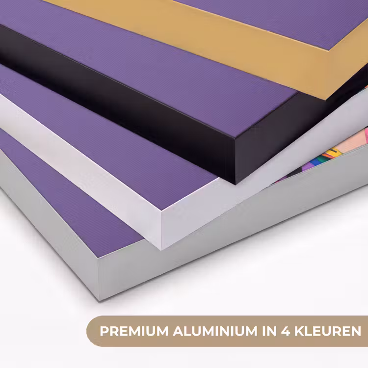 Vrouw - Portret - Make-up - Paars - Levendig Textielframe zwart klein -USP_kleurenNL