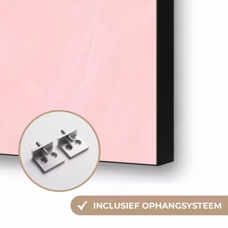 Vrouw - Portret - Modern - Kunst - Roze Textielframe zwart klein -USP_ophangsysteemNL