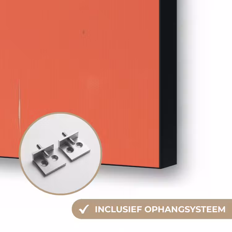 Vrouw - Retro - Discobal - Kus Textielframe zwart klein -USP_ophangsysteemNL