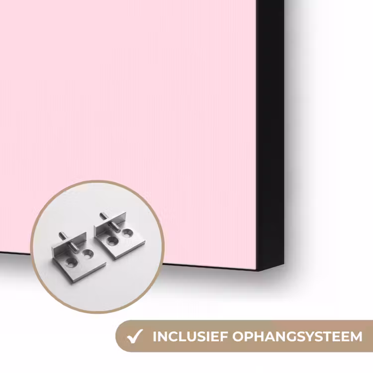 Vrouw - Schelp - Kunst - Lijntekening - Roze Textielframe zwart klein -USP_ophangsysteemNL