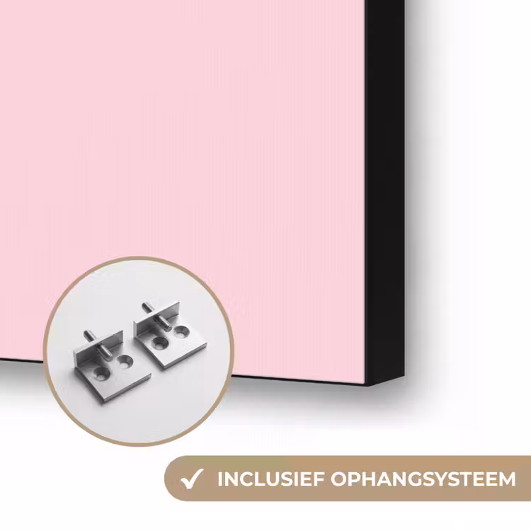 Vrouw - Silhouet - Abstract - Modern - Roze Textielframe zwart klein -USP_ophangsysteemNL