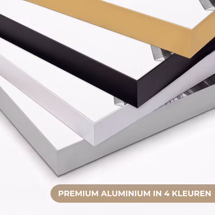 Vrouw - Sluier - Portret - Zwart - Wit - Artistiek Textielframe zwart klein -USP_kleurenNL