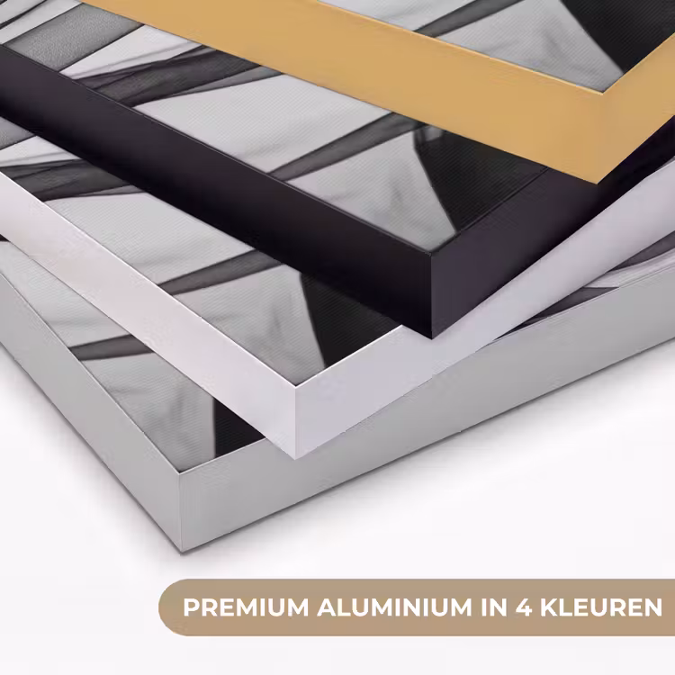 Vrouw - Sluier - Portret - Zwart - Wit - Elegant Textielframe zwart klein -USP_kleurenNL