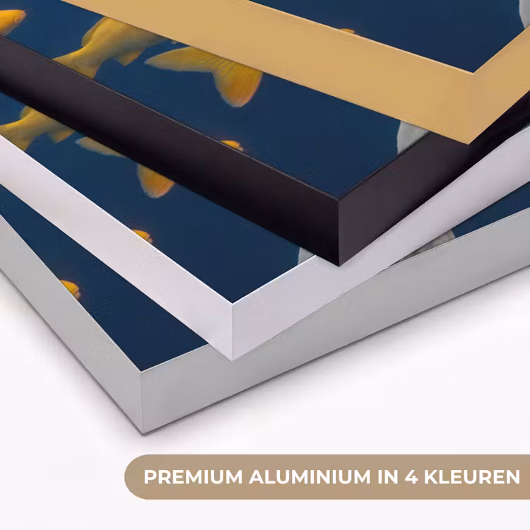 Vrouw - Vis - Water - Natuur - Geel Textielframe zwart klein -USP_kleurenNL