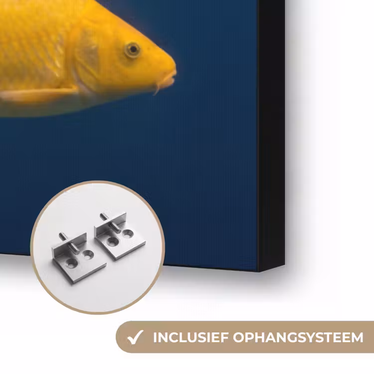 Vrouw - Vis - Water - Natuur - Geel Textielframe zwart klein -USP_ophangsysteemNL
