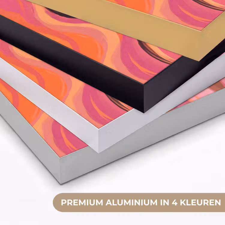 Vrouw - Zonnebril - Modern - Portret - Oranje Textielframe zwart klein -USP_kleurenNL