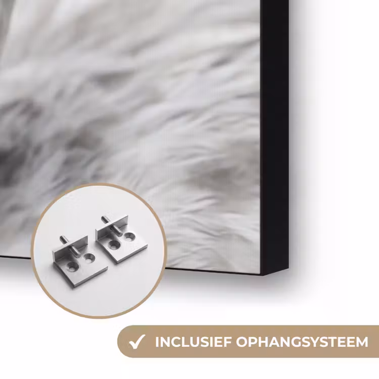 Vrouw - Zwaan - Wit Textielframe zwart klein -USP_ophangsysteemNL
