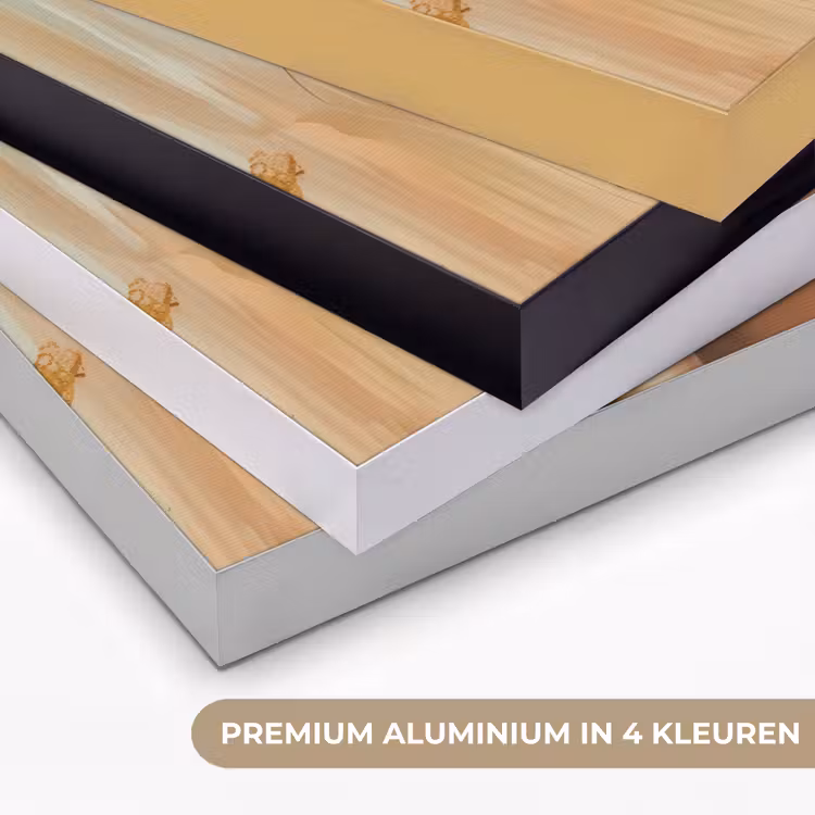Vrouwen - Portret - Luxe - Goud Textielframe zwart klein -USP_kleurenNL