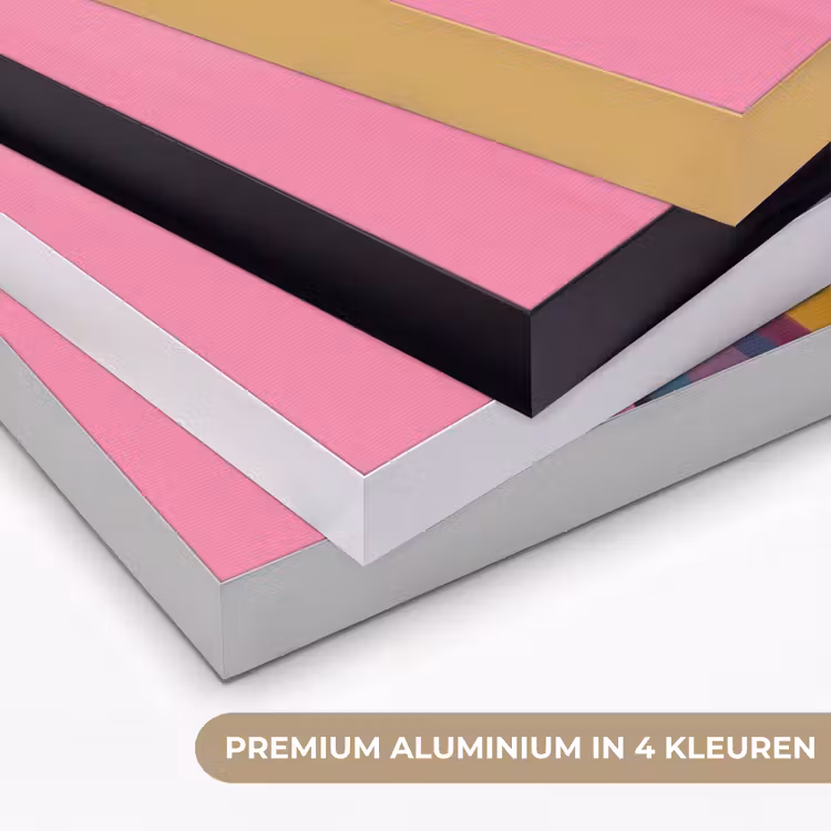 Vrouwengezicht - Vlinders - Kleurrijk Textielframe zwart klein -USP_kleurenNL