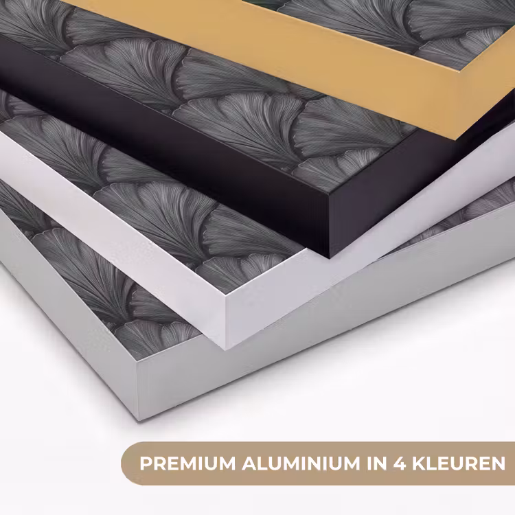 Waaier - Motief - Grijs Textielframe zwart klein 947 -USP_kleurenNL