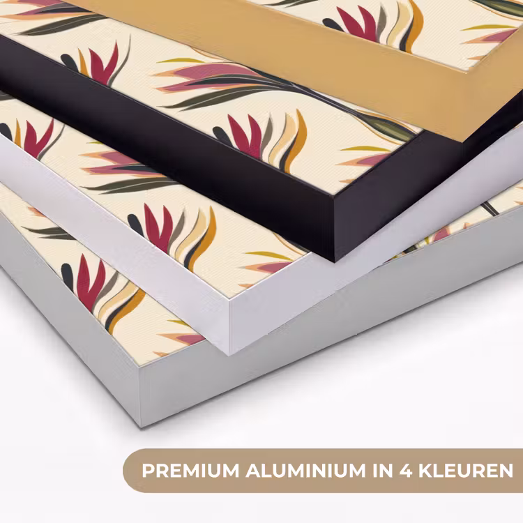 Waaier - Motief - Kleurrijk Textielframe zwart klein 947 -USP_kleurenNL
