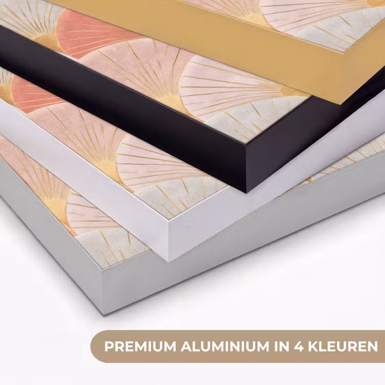 Waaiers - Goud - Roze Textielframe zwart klein 947 -USP_kleurenNL