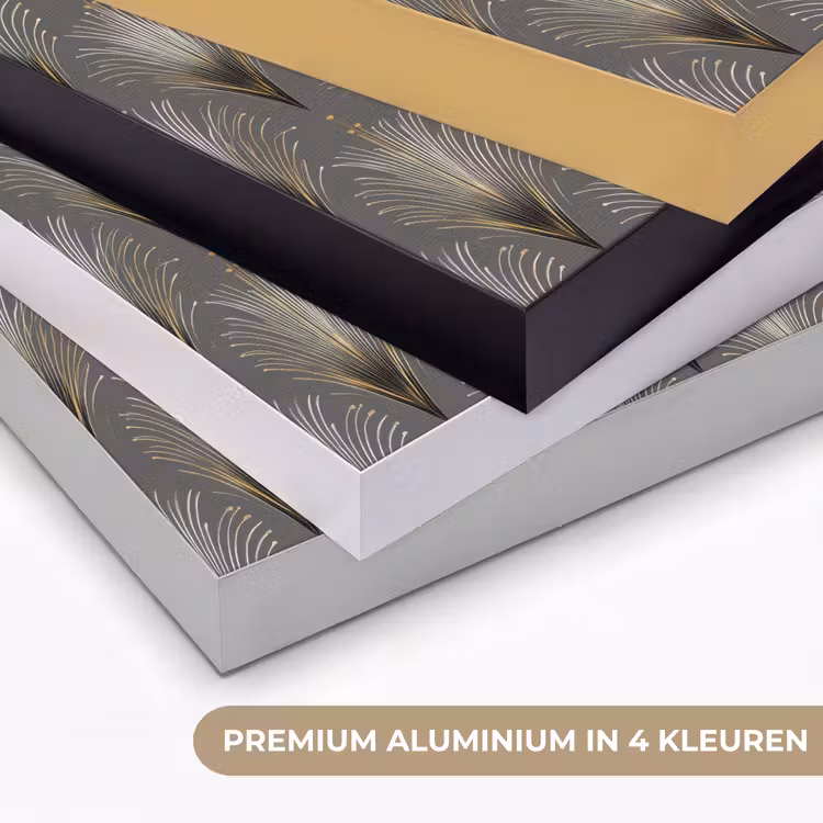 Waaierstralen - Goud - Antraciet Textielframe zwart klein 947 -USP_kleurenNL