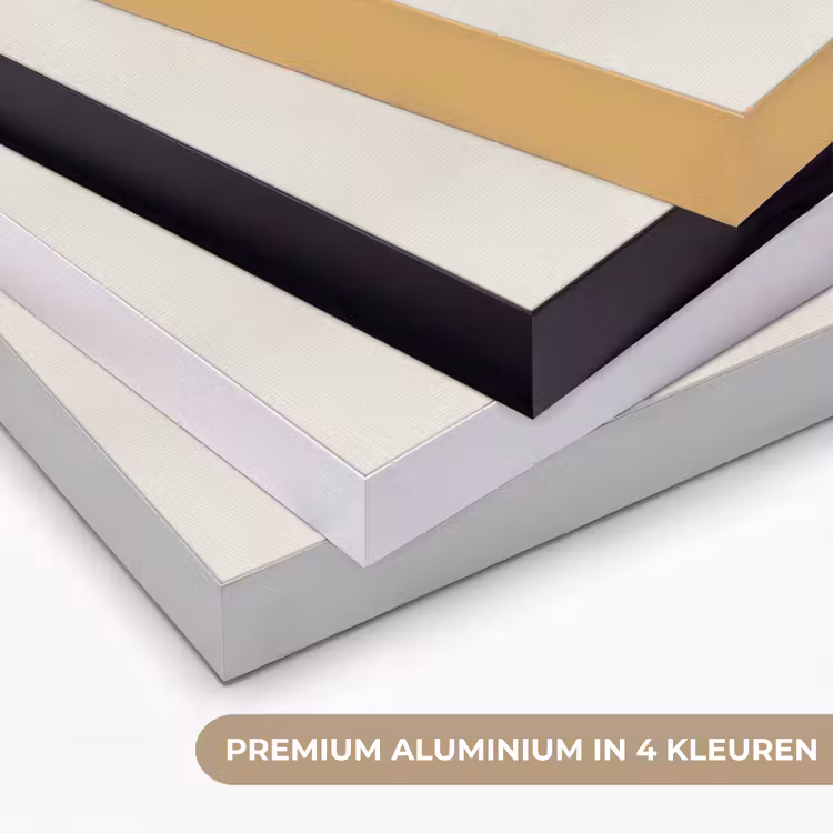 Wabi sabi - Plant - Beige Textielframe zwart klein -USP_kleurenNL