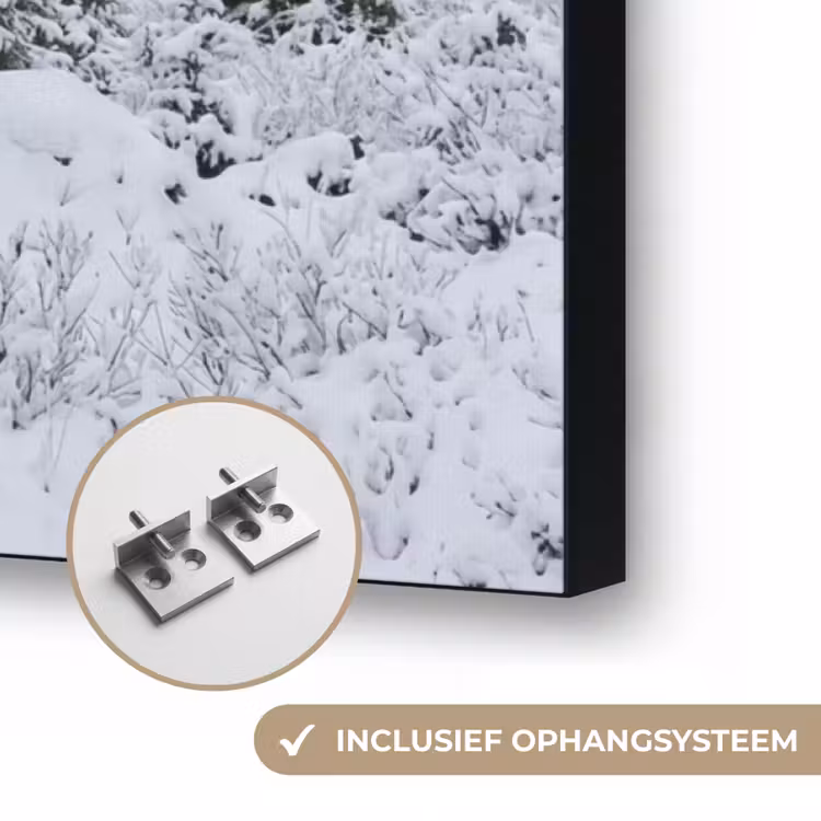 Weg - Bergen - Sneeuw - Naaldbos - Avontuurlijk Textielframe zwart klein -USP_ophangsysteemNL